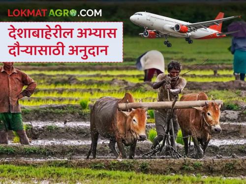 How much subsidy do farmers get for study tours outside the country? Find out in detail | देशाबाहेरील अभ्यास दौऱ्यासाठी शेतकऱ्यांना किती अनुदान मिळते? जाणून घ्या सविस्तर