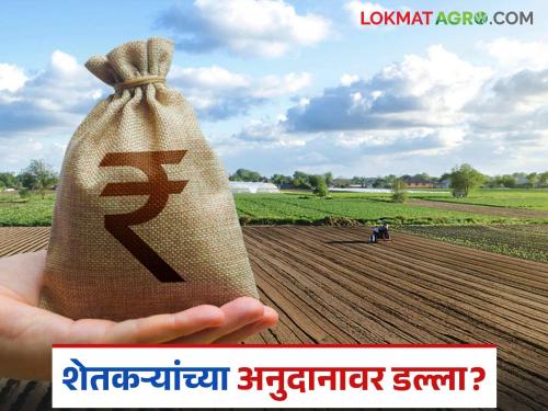 latest news Anudan Vatap Ghotala: Farmer subsidy scam exposed; Know what the case is in detail | Anudan Vatap Ghotala : शेतकरी अनुदान घोटाळा उघड; काय आहे प्रकरण जाणून घ्या सविस्तर