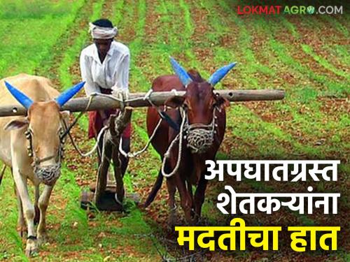 Farmer Accident Insurance Scheme: Take the benefit of Gopinath Munde Accident Insurance Scheme 'like this' | Farmer Accident Insurance Scheme : 'असा' घ्या गोपीनाथ मुंडे अपघात विमा योजनेचा लाभ