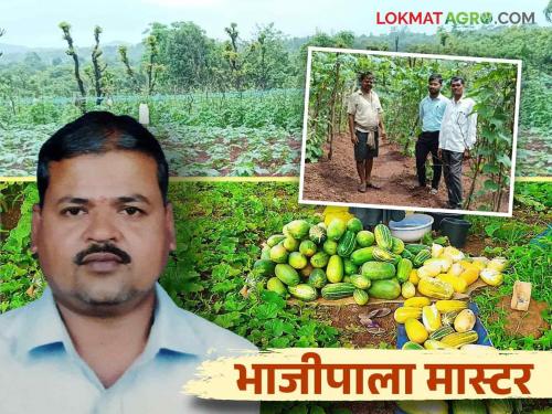 This farmer, who once worked as a labourer, is now giving permanent employment to five labourers.. Read more | एकेकाळी मजूर म्हणून काम करणारा हा शेतकरी आज पाच मजुरांना देतोय कायमस्वरूपी रोजगार.. वाचा सविस्तर