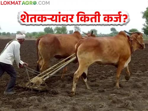 The most indebted farmers are in Maharashtra; How much loan from which bank? Know in detail | सर्वाधिक कर्जबाजारी शेतकरी महाराष्ट्रातच; कोणत्या बँकेचे किती कर्ज? जाणून घ्या सविस्तर