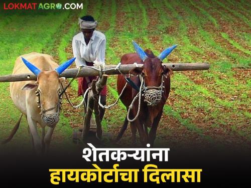 latest news Shetkari Karjamafi: Will the 7-year wait end? High Court orders loan waiver for 248 farmers | Shetkari Karjamafi : ७ वर्षांची प्रतीक्षा संपणार? २४८ शेतकऱ्यांना कर्जमाफीचा उच्च न्यायालयाचा आदेश