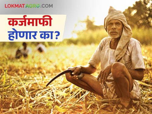 The deadline for repayment of crop loans will end soon; will there be a loan waiver? | पीक कर्जाची परतफेड करण्याची मुदत लवकरच संपणार; कर्जमाफी होणार का?