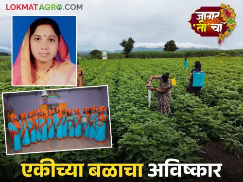 The fields flourished under her leadership; Smitatai's group achieved strong performance in the highest crop production | 'ती'च्या नेतृत्वातून फुलले शेत शिवार; सर्वोच्च पिक उत्पादनात स्मिताताईंच्या गटाची कामगिरी दमदार