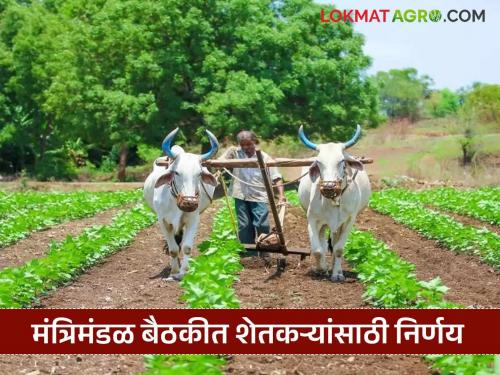 Latest News extension of electricity tariff concession scheme, decision in cabinet meeting | शेतकऱ्यांना मोठा दिलासा, वीजदर सवलत योजनेस मुदतवाढ, मंत्रिमंडळ बैठकीत निर्णय 