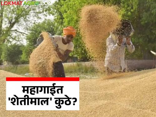 latest news ShetMal: Need a new definition of inflation? Education, health, housing are expensive; why are agricultural products cheap? Read in detail | ShetMal : महागाईची नवी व्याख्या हवी? शिक्षण, आरोग्य, घरं महाग; शेतमाल स्वस्त का? वाचा सविस्तर
