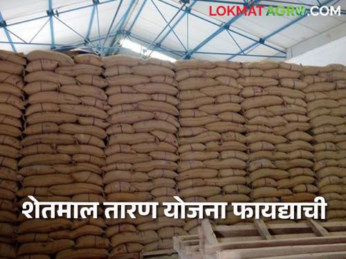 If the market price of agricultural products falls, take the benefits of the scheme, read in detail | शेतमालाचे बाजारभाव उतरले तर घ्या योजनेचा लाभ वाचा सविस्तर