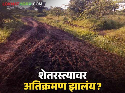 Shet Rasta Kayda : Where do you apply for encroachment on the road leading to the farm? | Shet Rasta Kayda : शेतात जाण्याच्या रस्त्यावर अतिक्रमण झालंय यासाठी कुठे कराल अर्ज?