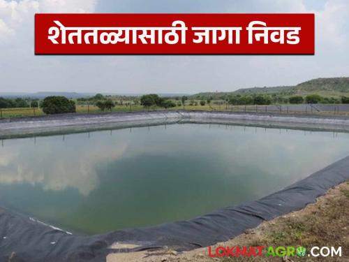Latest News Shet tale What to keep in mind while choosing a place for farm pond | Shet tale : शेततळे बांधायचे असेल तर, जागा कशी असायला हवी? जाणून घ्या सविस्तर 