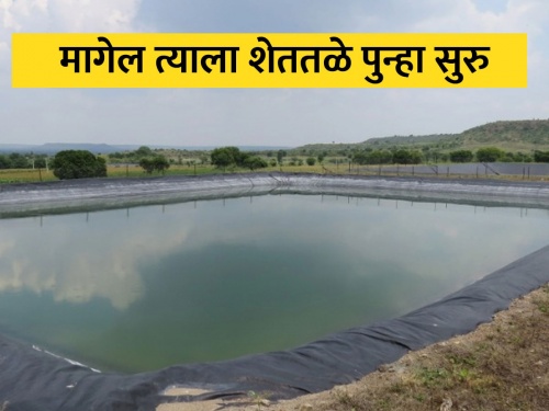 namo shettale abhiyan; Approval to set up 7300 farm pond in the state | नमो शेततळे अभियान; राज्यात ७३०० शेततळे उभारण्यास मान्यता
