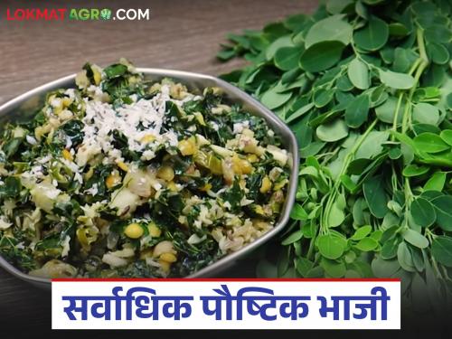 Have you eaten this vegetable that has 4 times the calcium of milk and can cure 300 diseases? | दुधाच्या ४ पट कॅल्शियम असणारी अन् ३०० विकारांवर मात करणारी 'ही' भाजी खाल्लीय का?