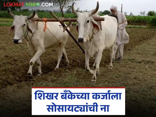 State apex bank provides loans directly to societies at low interest rates; only 8 proposals received from the state | राज्य शिखर बँकेकडून थेट सोसायट्यांना कमी व्याजदरात कर्जपुरवठा; राज्यातून आले केवळ ८ प्रस्ताव