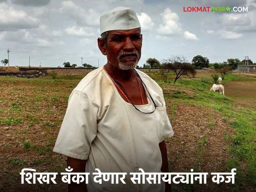 Latest News crop loan Will top banks now provide loans to societies and after farmers | आता शिखर बँकाकडून सोसायट्यांना कर्जपुरवठा, शेतकऱ्यांना दिलासा मिळणार का? 