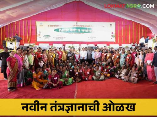 Dr.Pdkv : Pandhari of technology for Shiwarferi farmers | Dr.Pdkv : शिवारफेरी शेतकऱ्यांसाठी तंत्रज्ञानाची पंढरी