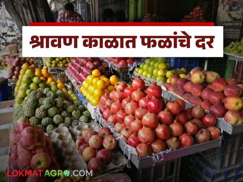 Latest News Shravan Fruit Market see prices of fruits during Shravan month, read the market prices of fruits | Shravan Fruit Market : श्रावण काळात फळांचे दर काय आहेत, वाचा फळांचे बाजारभाव 