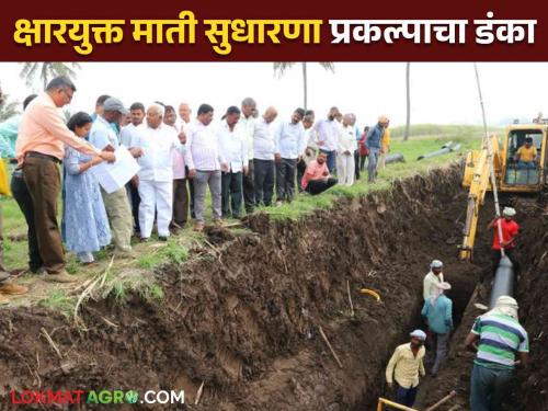 The presentation of the research project on saline soil improvement of this factory in Maharashtra will be held in Vietnam | महाराष्ट्रातील या कारखान्याच्या क्षारपड माती सुधारणा शोधप्रबंधाचे व्हिएतनाम येथे होणार सादरीकरण