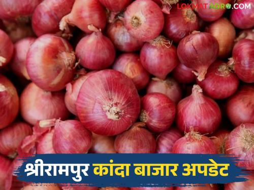 Kanda Market : Good response to open onion auction at Shrirampur Market Committee; How did you get the price? | Kanda Market : श्रीरामपूर बाजार समितीत मोकळा कांदा लिलावास चांगला प्रतिसाद; कसा मिळाला दर?