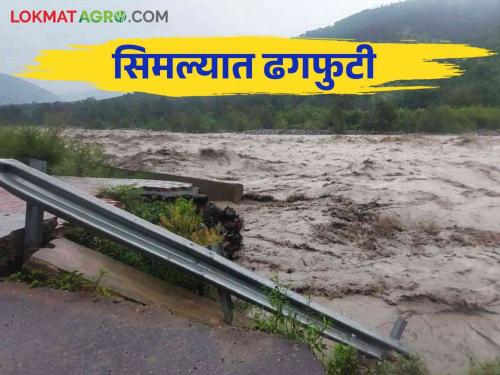 Weather Update: Heavy rain warning in 19 states of the country | Weather Update : देशात १९ राज्यांत मुसळधार पावसाचा इशारा