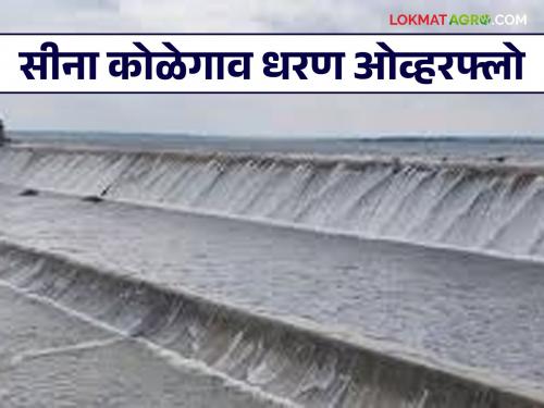 Sina Dam : Sina Kolegaon Project hundred percent; 2212 cusecs discharge into the Sina River | Sina Dam : सीना कोळेगाव प्रकल्प शंभर टक्के; २२१२ क्यूसेकने सिना नदीत विसर्ग