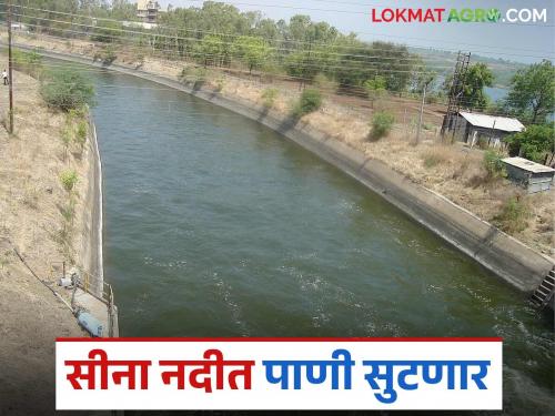 Water will be released from Ujani Dam into Sina River after May 12; Water Resources Minister orders | उजनी धरणातून १२ मेच्या पुढे सीना नदीत पाणी सोडण्यात येणार; जलसंपदा मंत्र्यांचे आदेश