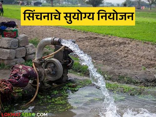 Latest news Agriculture News Proper irrigation planning in Sakri taluka will accelerate development | शेतीत अव्वल, धरणांचा तालुका म्हणून ओळख, पण सिंचनाचे नियोजन नाही, वाचा सविस्तर