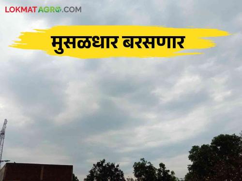 Weather Update: Heavy rain in this district.. Heavy rain forecast in next few days | Weather Update: या जिल्ह्यात पावसाचा जोर.. पुढील काही दिवसांत मुसळधारचा अंदाज