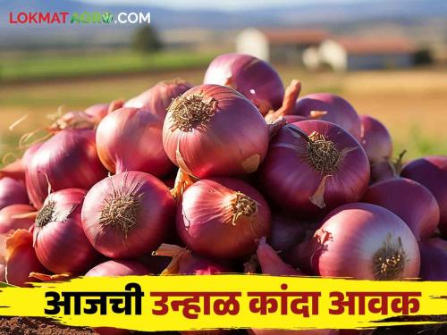 Latest News Kanda Bajarbhav highest price for red-summer onion in Sinnar market see detilas | Kanda Bajarbhav : सिन्नर बाजारात लाल-उन्हाळ कांद्याला काय भाव मिळाला? वाचा आजचे बाजारभाव