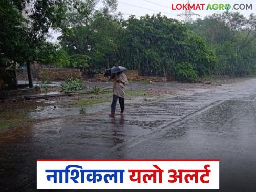 Nashik Rain Alert : | Nashik Rain Alert : नाशिक जिल्ह्यातील बहुतांश भागात पुढील तीन दिवस यलो अलर्ट, वाचा सविस्तर
