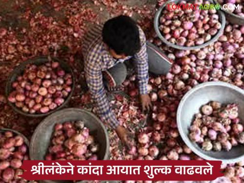 Latest news Kanda niryat Sri Lankan government has increased import duties on onion, read in detail | भारतीय कांद्याची गरज संपली, श्रीलंकन सरकारने आयात शुल्क वाढवले, वाचा सविस्तर 