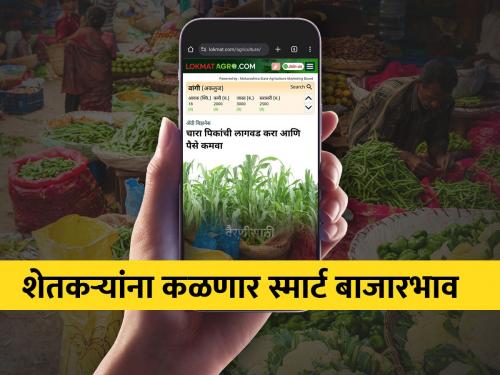 Smart market prices of agricultural products on 'Lokmat Agro' | आता ‘लोकमत ॲग्रोवर’ शेतकऱ्यांना मिळतात स्मार्ट बाजारभाव