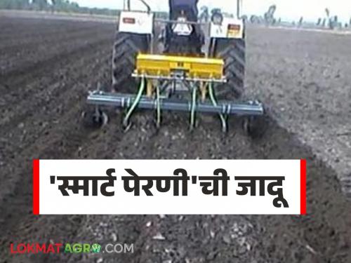 latest news Smart Sowing: Impact of 'Smart Sowing': Vigorous cultivation of soybean, turmeric, cotton | Smart Sowing : 'स्मार्ट पेरणी'चा प्रभाव : सोयाबीन, हळद, कपाशीची जोमदार लागवड