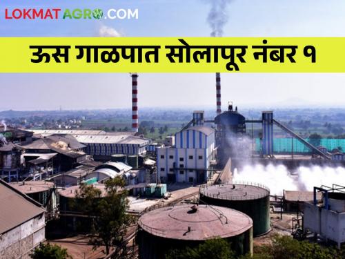 Solapur is number one in the state by crushing 113 lakh MT of sugarcane | ११३ लाख मे.टन गाळप ऊस गाळप करत सोलापूर राज्यात नंबर वन