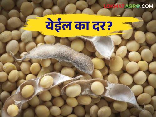 Soybean Market: Will the price of soybeans increase, this year till soybean store at home | Soybean Market: सोयाबीन अजून घरातच.. भाव वाढतील का?