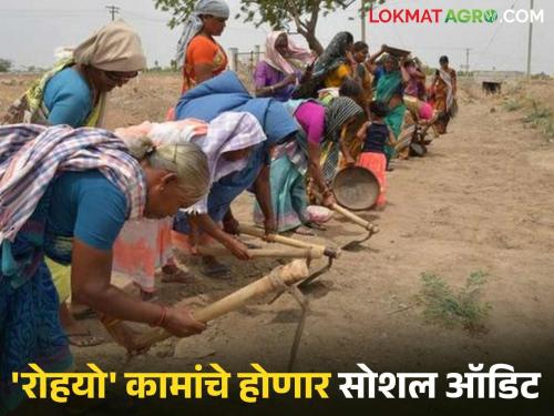 MGNREGA Scheme: Inspection of 'Rohayo' works; Now fraud will be curbed | MGNREGA Scheme: 'रोहयो'च्या कामांची तपासणी; आता बोगसगिरीला बसणार चाप