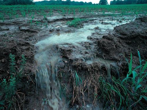 In Nanded district, 9 thousand hectares of agriculture was wiped out due to heavy rains | नांदेड जिल्ह्यात अतिवृष्टीने ९ हजार हेक्टर शेती खरडून गेली