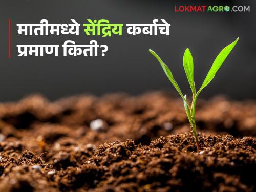 latest news Soil Health: Low organic carbon and nitrogen, bombardment of chemical fertilizers; Is soil health in this district at risk? | Soil Health : सेंद्रिय कर्ब व नत्र कमी, रासायनिक खतांचा भडिमार;'या' जिल्ह्यातील मातीचे आरोग्य धोक्यात?