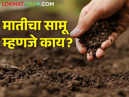 How is soil pH measured? | मातीचा सामू कसा मोजला जातो?