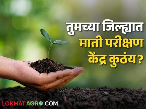 Where is the soil testing lab in your district in maharashtra Read in details | Soil Testing Lab : तुमच्या जिल्ह्यात माती परीक्षण प्रयोगशाळा कुठे आहे? वाचा एका क्लिकवर 