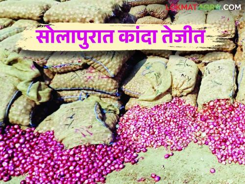 Kanda Bajar Bhav : Big increase in onion price in Solapur market committee How is the price getting? | Kanda Bajar Bhav : सोलापूर बाजार समितीत कांद्याच्या दरात मोठी वाढ कसा मिळतोय दर