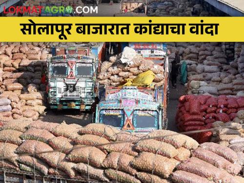 Inflow of onion in Solapur market committee does not stop; Chances of the auction being closed again | सोलापूर बाजार समितीत कांद्याची आवक थांबेना; पुन्हा लिलाव बंद राहण्याची शक्यता