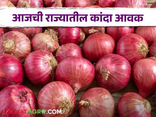 Latest News Kanda Market see red onion market price in Solapur market yard check Here | Kanda Market : सोलापूर बाजारात लाल कांद्याला काय भाव मिळाला? वाचा आजचे बाजारभाव