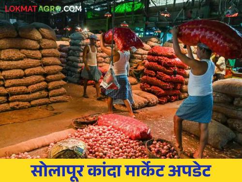 Kanda Bajarbhav : In Solapur market committee, 192 truckloads of onion arrival market price reached five thousand | Kanda Bajarbhav : सोलापूर बाजार समितीत १९२ ट्रक कांदा आवक जुना कांदा खातोय भाव