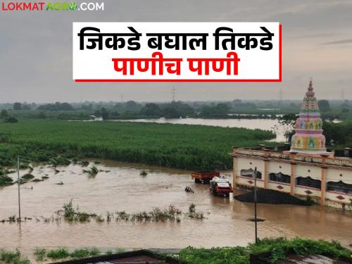 Solapur Mahapur : Massive flood in 'Chandani' river in Solapur district; Crops on 10 thousand hectares in water | Solapur Mahapur : सोलापूर जिल्ह्यातील 'चांदणी' नदीला महापूर; १० हजार हेक्टरवरील पिके पाण्यात