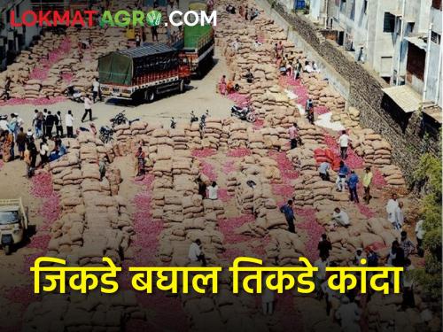 Onion in the Solapur market yard.. How is the onion market price? | सोलापूर मार्केट यार्डात कांदाच कांदा.. कसा आहे कांदा बाजारभाव?