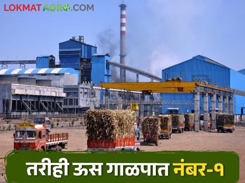 Despite adverse conditions, this district crushing the highest sugarcane in the state | प्रतिकूल परिस्थितीतही या जिल्ह्याने केले राज्यात सर्वात जास्त उसाचे गाळप