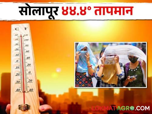 Maharashtra Weather Update Many districts in the state recorded temperature of 40 degrees Celsius; How many more days of heat wave? | Maharashtra Weather Update राज्यात अनेक जिल्ह्यांनी केली तापमानाची चाळिशीपार; अजून किती दिवस उष्णतेची लाट