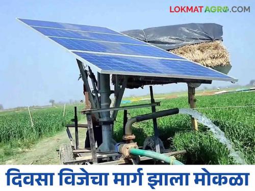 Farmers will now get electricity supply during the day.. This big project is starting | शेतकऱ्यांना मिळणार आता दिवसा वीजपुरवठा.. सुरु होतोय हा मोठा प्रकल्प