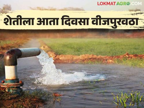 Irrigation for crops during the day rather than at night; Mahavitaran is starting this new project | Solar Power Supply पिकांना रात्री नव्हं तर दिवसा पाणी द्या; महावितरण सुरु करतंय हा नवीन प्रकल्प