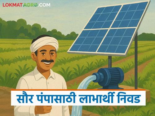 How does the work 'magel tyala sour pump' schemes for farmers? How to apply? Find out in detail | 'मागेल त्याला सौर कृषी पंप' या योजेनेचे काम कसे चालते? कसा कराल अर्ज? जाणून घ्या सविस्तर