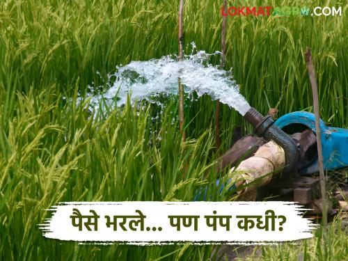latest news Solar Pumps : 11 thousand applications; only 345 solar pumps! What about the remaining farmers? Read in detail | Solar Pumps: ११ हजार अर्ज; केवळ ३४५ सौरपंप! उर्वरित शेतकऱ्यांचं काय? वाचा सविस्तर